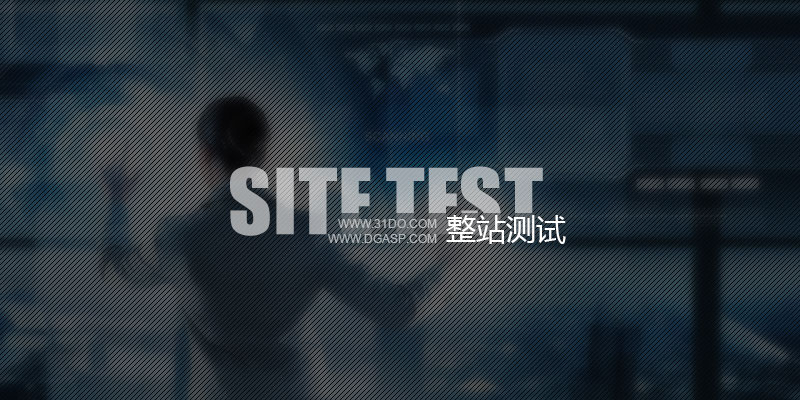 网站测试调试